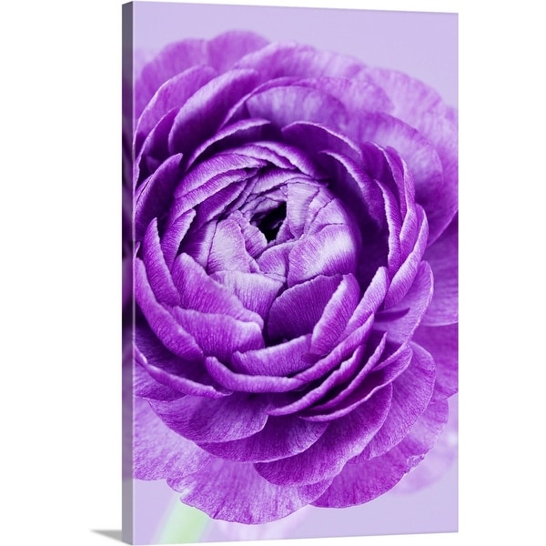 Shop "Purple flower" Canvas Wall Art - On Sale - Free Shipping Today